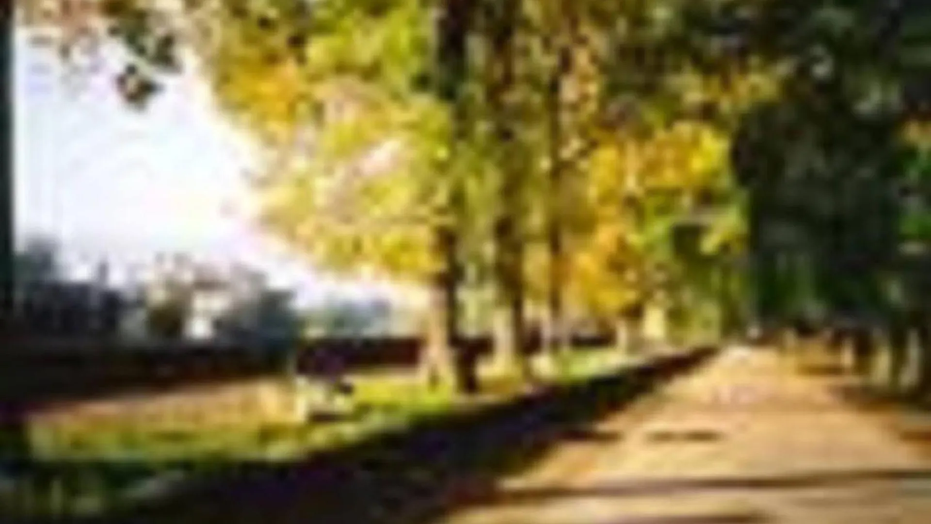 Holiday Apartment Rental In The Heart Of Lucca No01