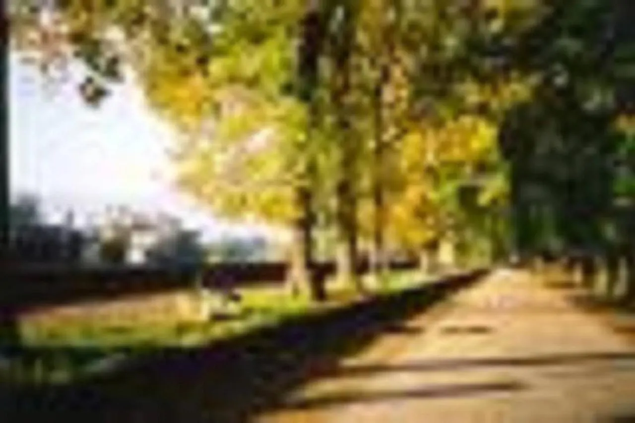 Holiday Apartment Rental In Lucca